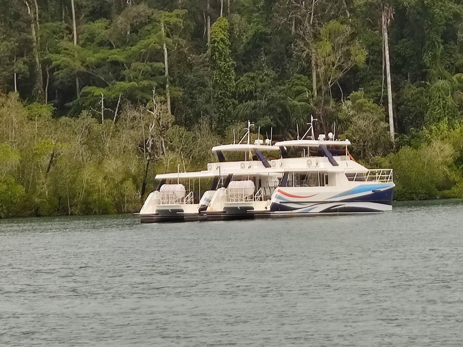 Catamaran image 8